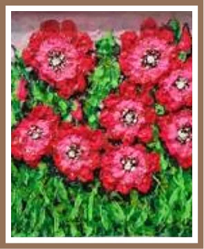 Poppies in Bloom